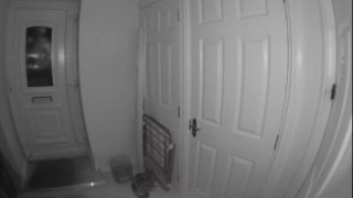 Doorbell camera catches concerned police officers storming into a house to conduct welfare check