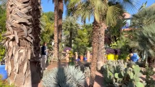 LE PLUS BEAU JARDIN de Marrakech : Jardin Majorelle