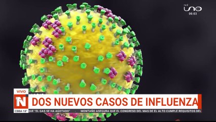 Dos nuevos casos de influenza