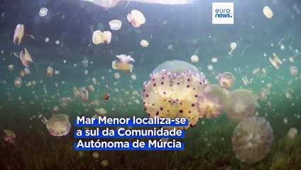 Professora espanhola vence "Nobel Verde" por lutar pelo Mar Menor