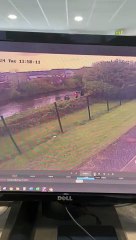 Man rescues dog from canal