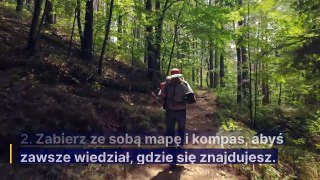 Zasady bezpiecznego zachowania się w lesie