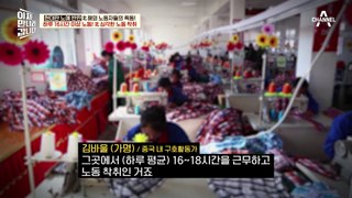 [#클립배송] 북한 최초의 노동 운동 발생? 북한 사회의 민낯을 알게된 MZ 세대 노동자들