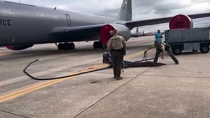 Crocodile Rescue Mission 🐊