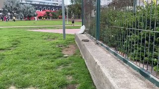Vídeo de ratas en el Parque Estadio Insular de Gran Canaria