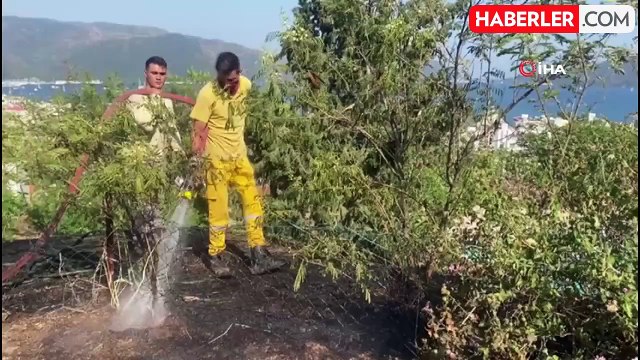 Otluk alandaki yangın ormana sıçramadan söndürüldü
