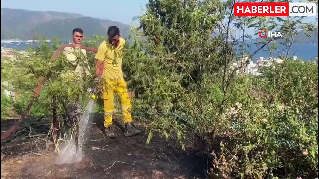 Otluk alandaki yangın ormana sıçramadan söndürüldü