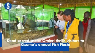 Dead sacred snake Omieri thrills visitors to Kisumu’s annual Fish Fiesta