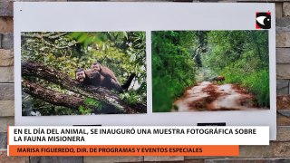 En el Dia del Animal, se Inauguró una muestra fotográfica sobre la fauna misionera