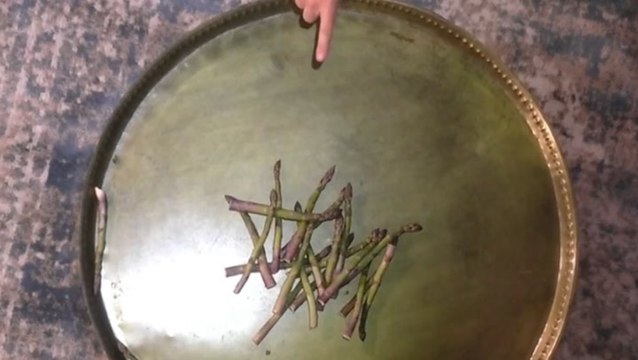 Asparagus fortune teller predicts when next general election will be - and it doesn’t look good for Starmer