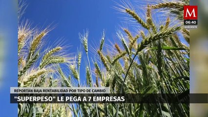 Superpeso afecta el flujo en 7 empresas de BMV durante el primer trimestre del año