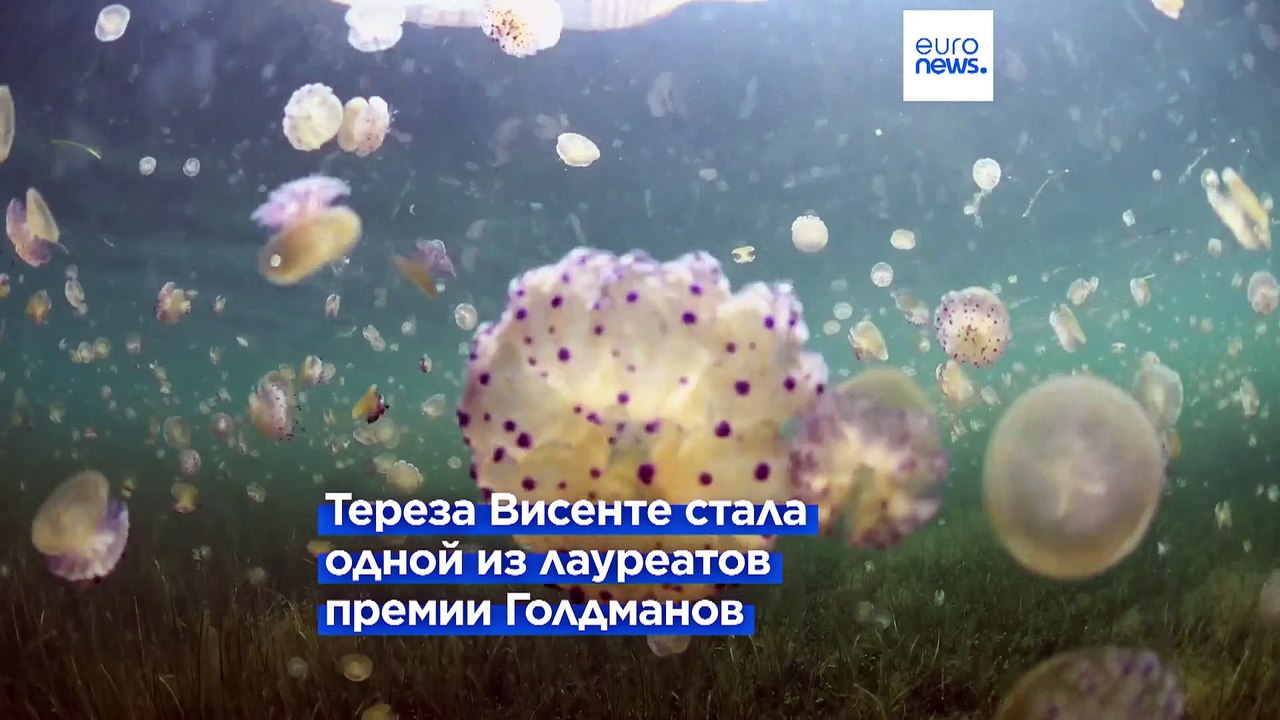 За защиту лагуны Мар-Менор выдали премию Голдманов