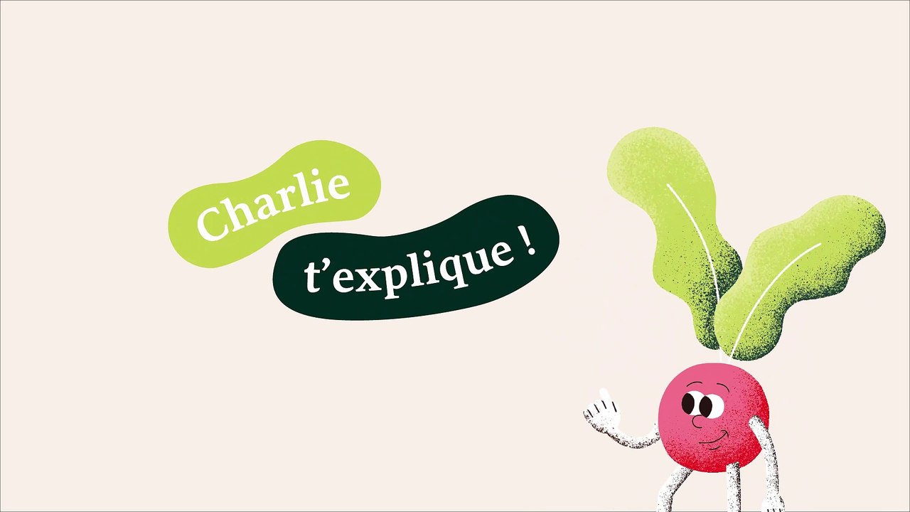 Le pliage des samoussas - C'est la faim des haricots