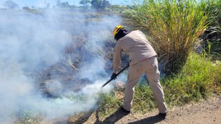 Incêndio em vegetação mobiliza bombeiros em Apucarana; veja vídeo