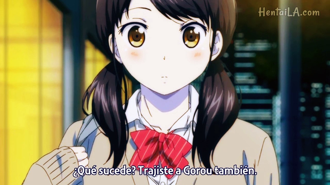 1LDK+JK Ikinari Doukyo Micchaku! Hatsu Ecchi!!