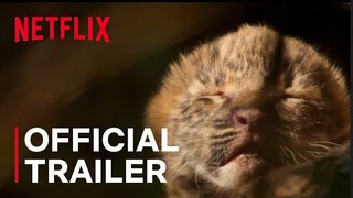 Living with Leopards | Official Trailer - Netflix