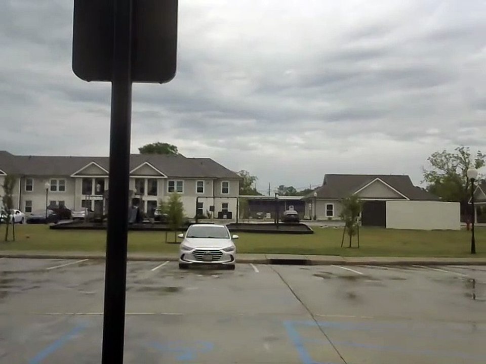 Today I decided that I record out the window