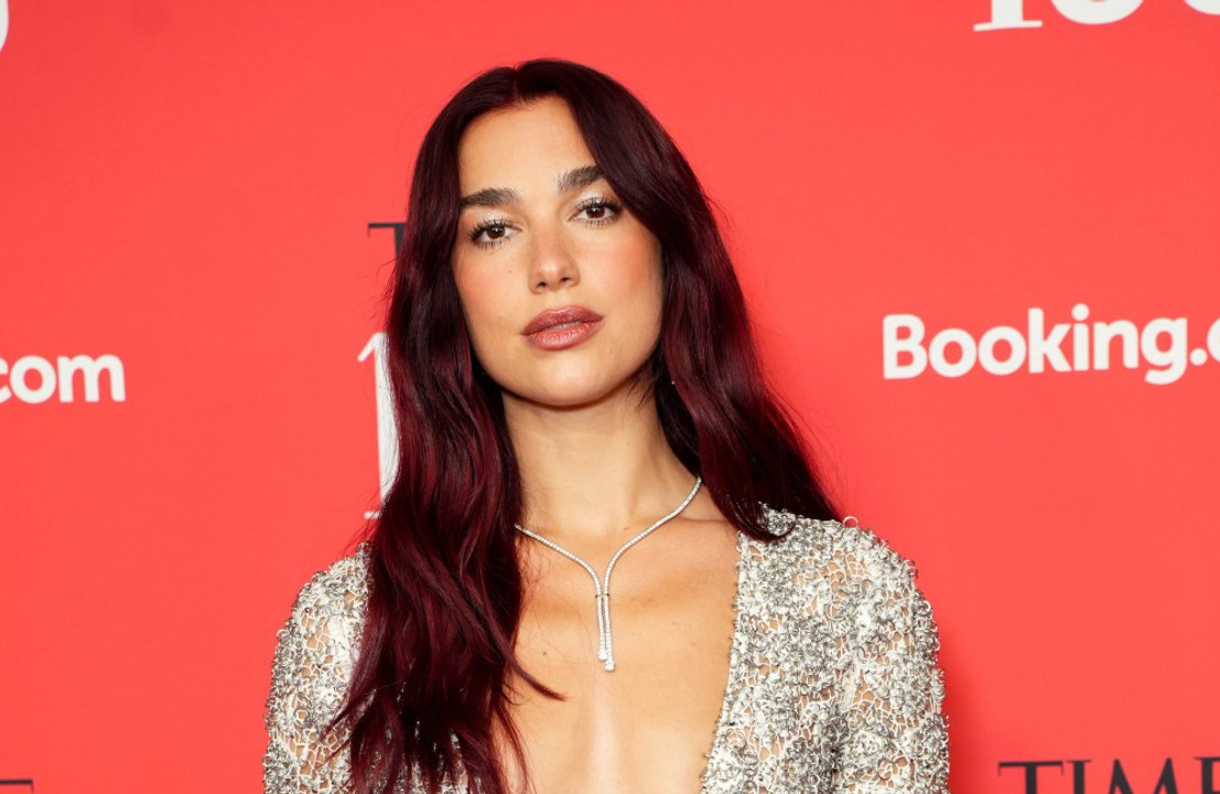 Dua Lipa 'never thought' about being famous