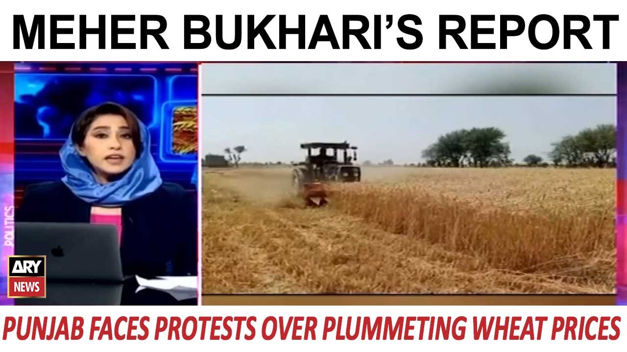 Farmer's Fury: Punjab Faces Protests Over Plummeting Wheat Prices | Meher Bukhari's Report