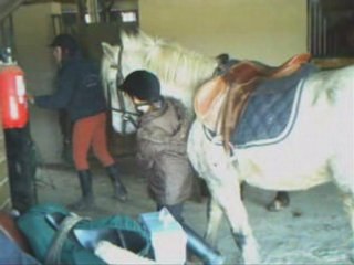 Stage Centre équestre du Montmal