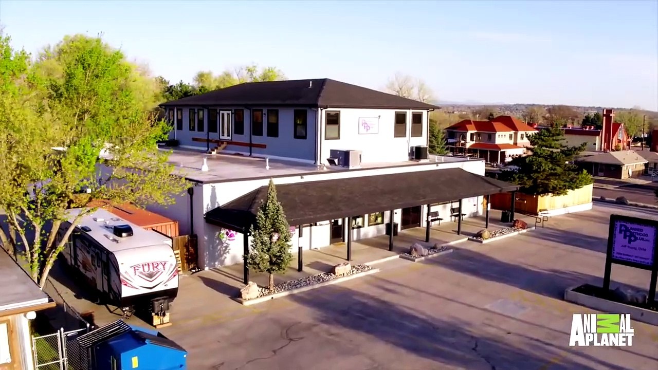 Dr. Jeff: Rocky Mountain Vet Saison 1 - This Poor Little Pup Might Lose His Leg | Dr. Jeff: Rocky Mountain Vet (EN)