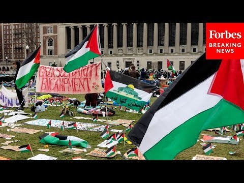 'Well Beyond Free Speech': Dem Lawmaker Denounces Columbia University Protests After Visit