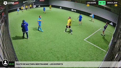 Faute de mathieu Bertranine - LES EXPERTS
