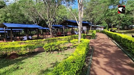 Día del animal en Animal World un vínculo comunitario en acción