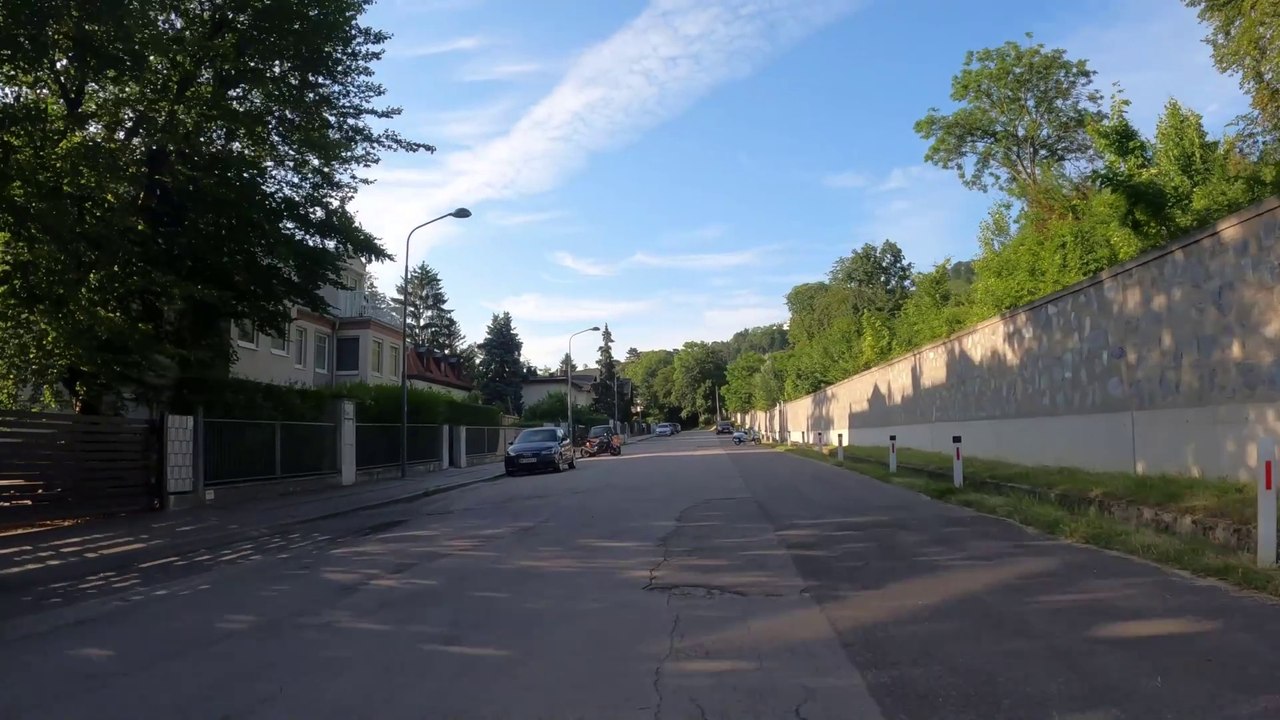 Nikolaitor: MTB Lainzer Tiergarten-Strecke (1)