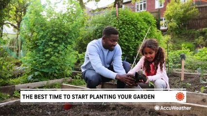 Best Time to Start Your Garden: Tips for a Successful Planting Season 🌱