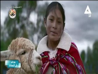 برنامج موعد فى السفارة - حلقة يوم 29/4/2024 تقديم/ سارة نور الدين .. اعداد/ زينب هجرس .. اخراج/ غادة الجندى
