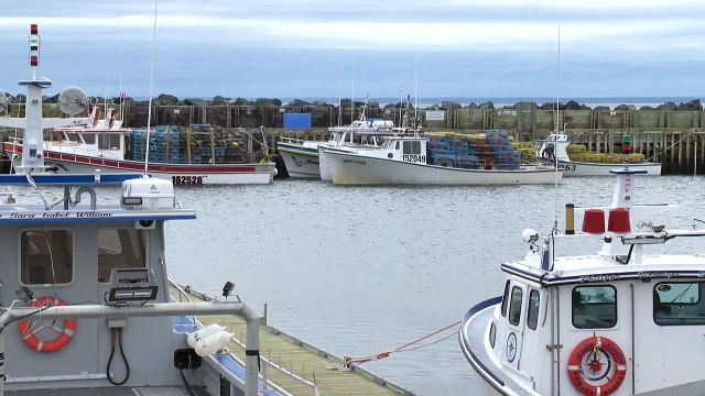 29 avril TOPO AD Peche au hareng