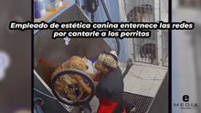 Empleado de estética canina enternece las redes por cantarle a los perritos
