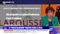 LA BANDE PREND LE POUVOIR - Les nouveaux mots du dico