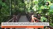 Con una inversión de más de 3,5 millones de dólares, el Grupo Dotia proyecta la construcción de “Syry Lodge”, un hotel 100% sustentable en medio de la selva de Iguazú