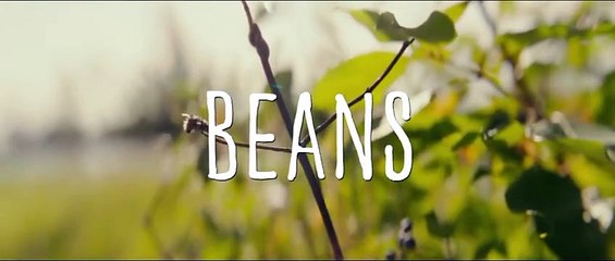 Beans Streaming VF - FanStream