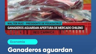 Ganaderos aguardan apertura de mercado chileno para exportar carne