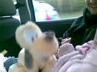 Délire avec Pluto 1