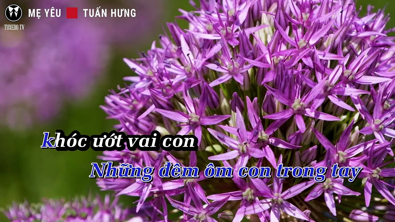 MẸ YÊU - TUẤN HƯNG | KARAOKE NHẠC TRẺ | BEAT TONE NAM COVER