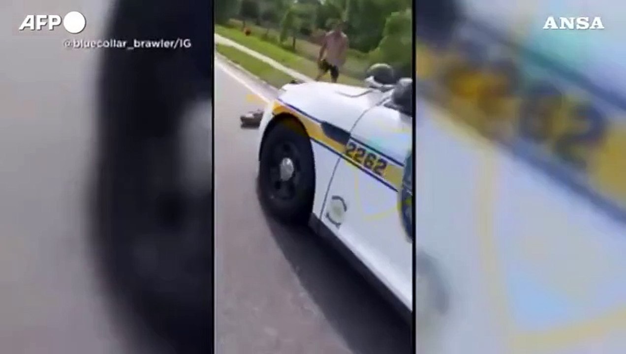 Florida, sposta un alligatore dalla strada a mani nude