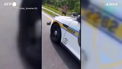 Florida, sposta un alligatore dalla strada a mani nude