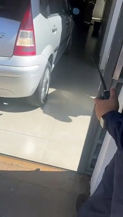 Cobra cascavel de grande porte é capturada em residência de Goioerê