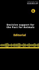 Editorial en inglés | Decisive support for the Pact for Animals