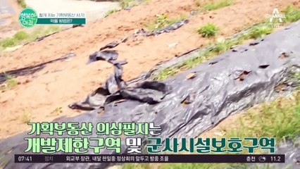 다시 활개 치는 기획부동산 사기! 제대로 알고 당하지 않는 방법은? #기획부동산사기