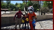 Grupo de brigadistas forestales Mapaches Jalisco entregó juguetes para niños de escasos de recursos
