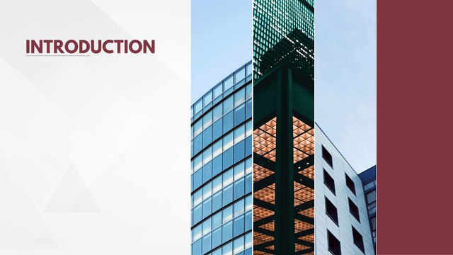 Beyond Boundaries: Amir Farahi's Journey to Entrepreneurial Greatness