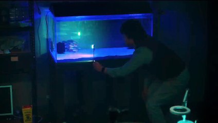 STING | Official Trailer | Starring Ryan Corr & Alyla Browne | In Theaters April 12