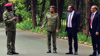 Zehabesha Daily Ethiopia News