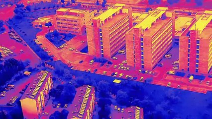 6 ilde büyük operasyon: 6 suç örgütü birden çökertildi