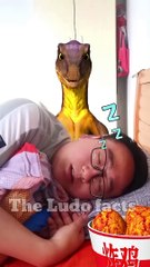 चीकू ने चुराया लड्डू  ~ mini wood toy-wood working art skill wood _ hand crafts _ #shorts (1)